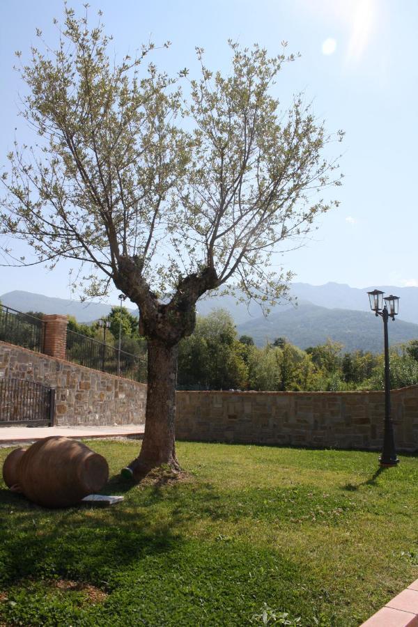 Casale Degli Ulivi Pellare